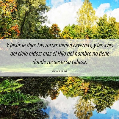 Picture 06 - Mateo 8:20 RVA - Y Jesús le dijo: Las zorras tienen cavernas, y - Bible Verse Picture