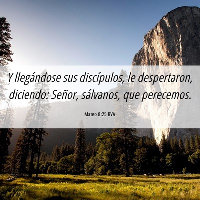 Picture 06 - Mateo 8:25 RVA - Y llegándose sus discípulos, le despertaron, - Bible Verse Picture