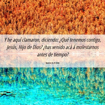 Picture 06 - Mateo 8:29 RVA - Y he aquí clamaron, diciendo: ¿Qué tenemos - Bible Verse Picture