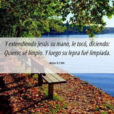 Picture 06 - Mateo 8:3 RVA - Y extendiendo Jesús su mano, le tocó, diciendo: - Bible Verse Picture