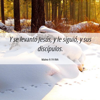 Picture 06 - Mateo 9:19 RVA - Y se levantó Jesús, y le siguió, y sus - Bible Verse Picture