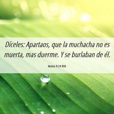 Picture 06 - Mateo 9:24 RVA - Díceles: Apartaos, que la muchacha no es muerta, - Bible Verse Picture