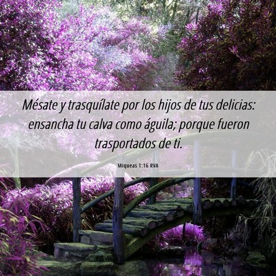 Picture 06 - Miqueas 1:16 RVA - Mésate y trasquílate por los hijos de tus - Bible Verse Picture