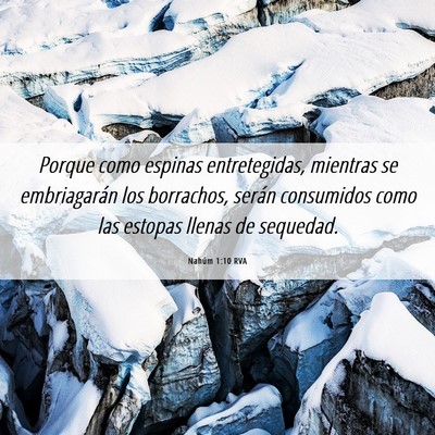 Picture 06 - Nahúm 1:10 RVA - Porque como espinas entretegidas, mientras se - Bible Verse Picture