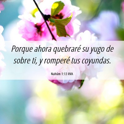 Picture 06 - Nahúm 1:13 RVA - Porque ahora quebraré su yugo de sobre ti, y - Bible Verse Picture