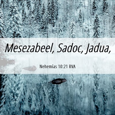 Picture 06 - Nehemías 10:21 RVA - Mesezabeel, Sadoc, - Bible Verse Picture