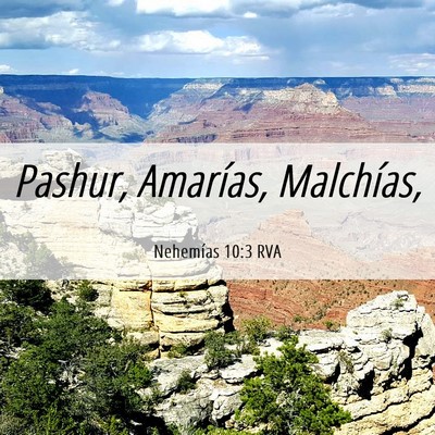 Picture 06 - Nehemías 10:3 RVA - Pashur, Amarías, - Bible Verse Picture