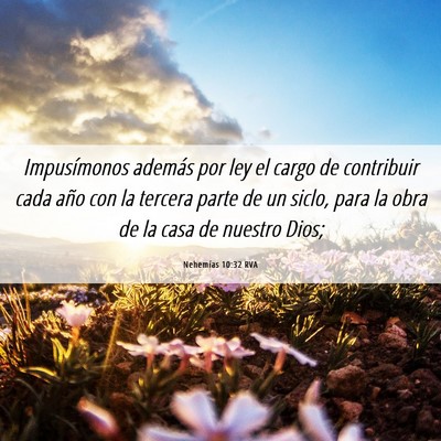 Picture 06 - Nehemías 10:32 RVA - Impusímonos además por ley el cargo de - Bible Verse Picture