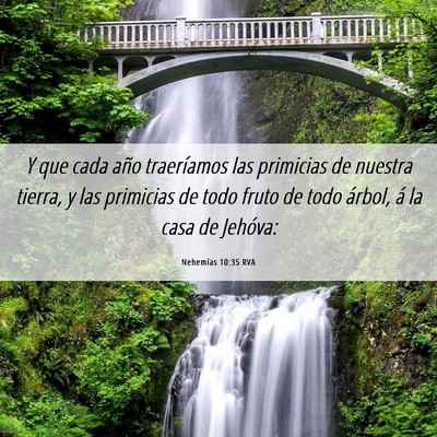 Picture 06 - Nehemías 10:35 RVA - Y que cada año traeríamos las primicias de - Bible Verse Picture