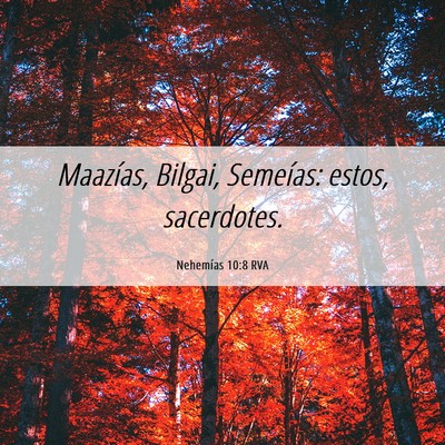 Picture 06 - Nehemías 10:8 RVA - Maazías, Bilgai, Semeías: estos, - Bible Verse Picture