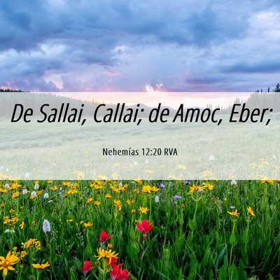 Picture 06 - Nehemías 12:20 RVA - De Sallai, Callai; de Amoc, - Bible Verse Picture