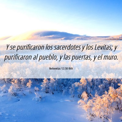 Picture 06 - Nehemías 12:30 RVA - Y se purificaron los sacerdotes y los Levitas; y - Bible Verse Picture