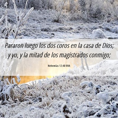 Picture 06 - Nehemías 12:40 RVA - Pararon luego los dos coros en la casa de Dios; y - Bible Verse Picture