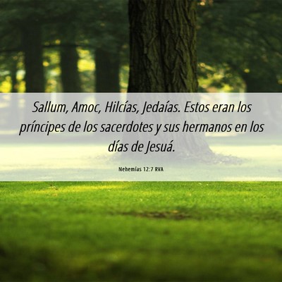 Picture 06 - Nehemías 12:7 RVA - Sallum, Amoc, Hilcías, Jedaías. Estos eran los - Bible Verse Picture