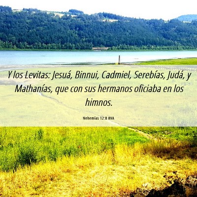 Picture 06 - Nehemías 12:8 RVA - Y los Levitas: Jesuá, Binnui, Cadmiel, - Bible Verse Picture