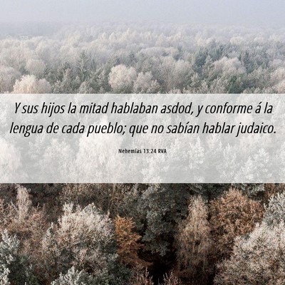 Picture 06 - Nehemías 13:24 RVA - Y sus hijos la mitad hablaban asdod, y conforme - Bible Verse Picture