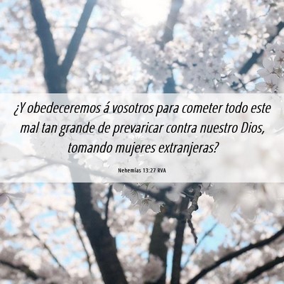 Picture 06 - Nehemías 13:27 RVA - ¿Y obedeceremos á vosotros para cometer todo - Bible Verse Picture