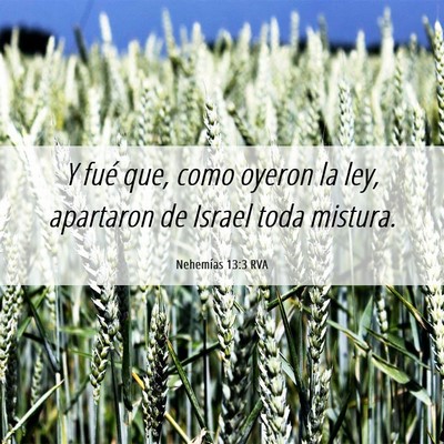 Picture 06 - Nehemías 13:3 RVA - Y fué que, como oyeron la ley, apartaron de - Bible Verse Picture