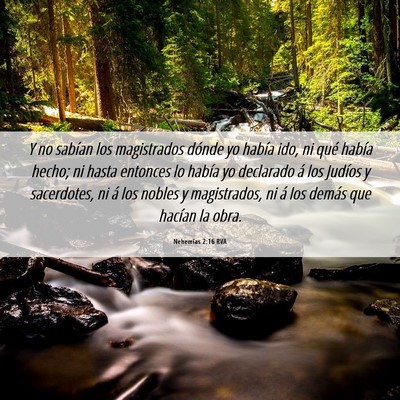 Picture 06 - Nehemías 2:16 RVA - Y no sabían los magistrados dónde yo había - Bible Verse Picture