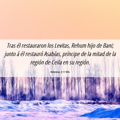 Picture 06 - Nehemías 3:17 RVA - Tras él restauraron los Levitas, Rehum hijo de - Bible Verse Picture