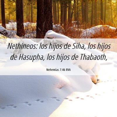 Picture 06 - Nehemías 7:46 RVA - Nethineos: los hijos de Siha, los hijos de - Bible Verse Picture