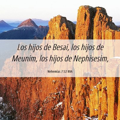 Picture 06 - Nehemías 7:52 RVA - Los hijos de Besai, los hijos de Meunim, los - Bible Verse Picture