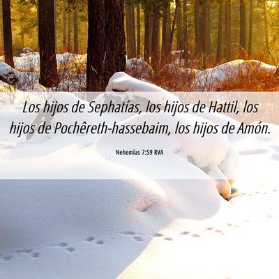 Picture 06 - Nehemías 7:59 RVA - Los hijos de Sephatías, los hijos de Hattil, los - Bible Verse Picture
