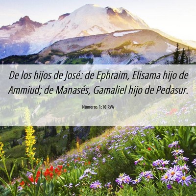 Picture 06 - Números 1:10 RVA - De los hijos de José: de Ephraim, Elisama hijo - Bible Verse Picture