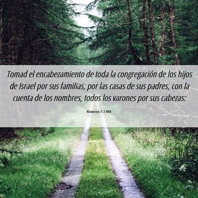 Picture 06 - Números 1:2 RVA - Tomad el encabezamiento de toda la congregación - Bible Verse Picture