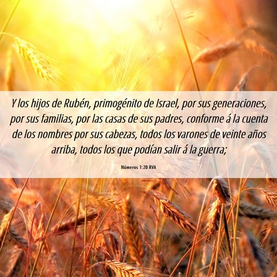 Picture 06 - Números 1:20 RVA - Y los hijos de Rubén, primogénito de Israel, - Bible Verse Picture