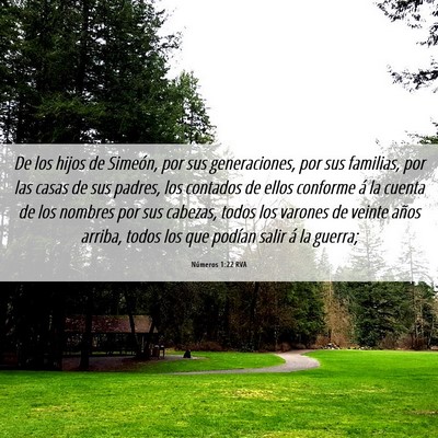Picture 06 - Números 1:22 RVA - De los hijos de Simeón, por sus generaciones, - Bible Verse Picture