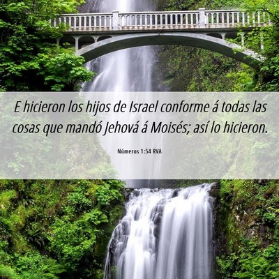 Picture 06 - Números 1:54 RVA - E hicieron los hijos de Israel conforme á todas - Bible Verse Picture