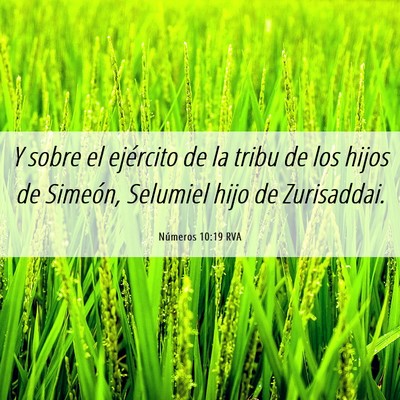 Picture 06 - Números 10:19 RVA - Y sobre el ejército de la tribu de los hijos de - Bible Verse Picture