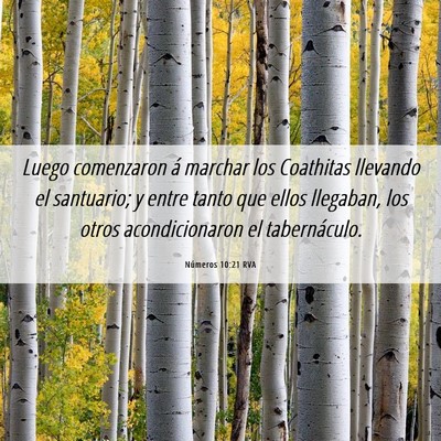 Picture 06 - Números 10:21 RVA - Luego comenzaron á marchar los Coathitas - Bible Verse Picture