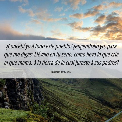 Picture 06 - Números 11:12 RVA - ¿Concebí yo á todo este pueblo? ¿engendrélo - Bible Verse Picture