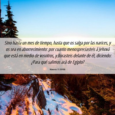 Picture 06 - Números 11:20 RVA - Sino hasta un mes de tiempo, hasta que os salga - Bible Verse Picture