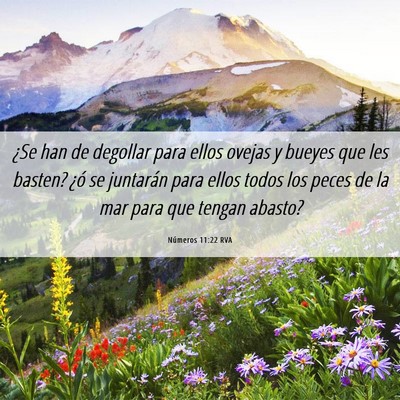Picture 06 - Números 11:22 RVA - ¿Se han de degollar para ellos ovejas y bueyes - Bible Verse Picture