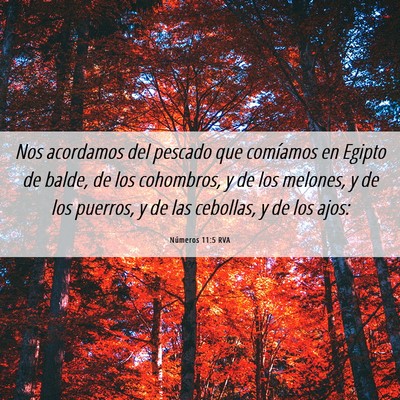 Picture 06 - Números 11:5 RVA - Nos acordamos del pescado que comíamos en Egipto - Bible Verse Picture