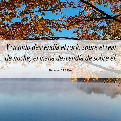 Picture 06 - Números 11:9 RVA - Y cuando descendía el rocío sobre el real de - Bible Verse Picture