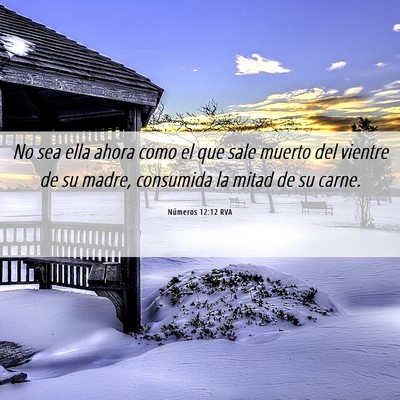 Picture 06 - Números 12:12 RVA - No sea ella ahora como el que sale muerto del - Bible Verse Picture