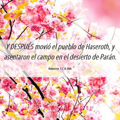 Picture 06 - Números 12:16 RVA - Y DESPUÉS movió el pueblo de Haseroth, y - Bible Verse Picture