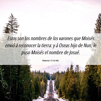 Picture 06 - Números 13:16 RVA - Estos son los nombres de los varones que Moisés - Bible Verse Picture