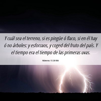 Picture 06 - Números 13:20 RVA - Y cuál sea el terreno, si es pingüe ó flaco, - Bible Verse Picture