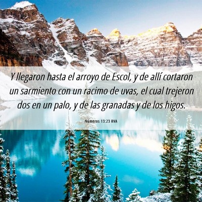 Picture 06 - Números 13:23 RVA - Y llegaron hasta el arroyo de Escol, y de allí - Bible Verse Picture