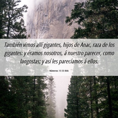 Picture 06 - Números 13:33 RVA - También vimos allí gigantes, hijos de Anac, - Bible Verse Picture