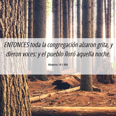 Picture 06 - Números 14:1 RVA - ENTONCES toda la congregación alzaron grita, y - Bible Verse Picture
