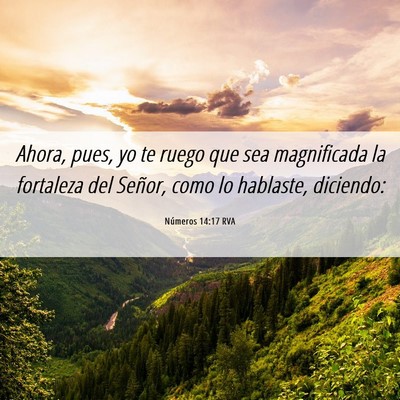 Picture 06 - Números 14:17 RVA - Ahora, pues, yo te ruego que sea magnificada la - Bible Verse Picture