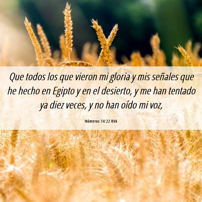 Picture 06 - Números 14:22 RVA - Que todos los que vieron mi gloria y mis señales - Bible Verse Picture
