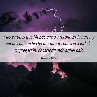 Picture 06 - Números 14:36 RVA - Y los varones que Moisés envió á reconocer la - Bible Verse Picture