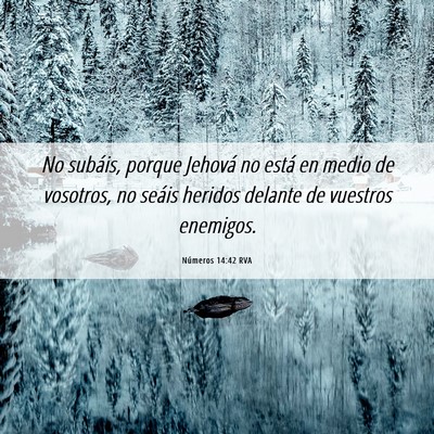 Picture 06 - Números 14:42 RVA - No subáis, porque Jehová no está en medio de - Bible Verse Picture